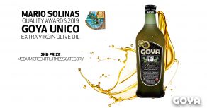 the Mario Solinas 2019 Quality Awards
