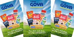 Tienda web Goya / Goya store