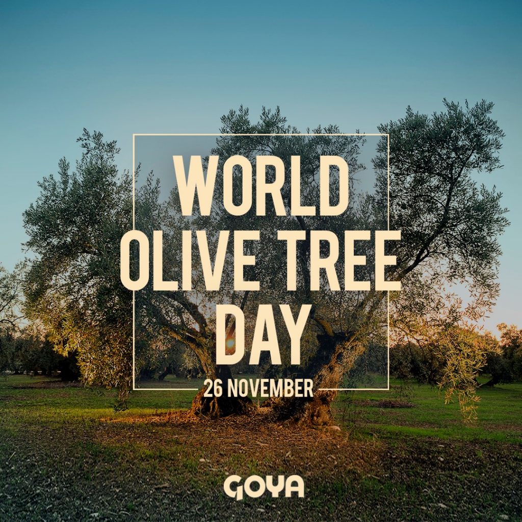 World Olive Tree Day 2022 Spanish extra virgin olive oil (EVOOs