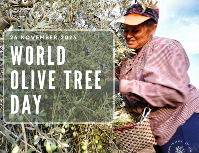Dia Mundial del Olivo | World Olve Tree Day